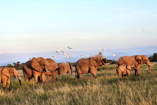2 Days Amboseli Park Overnight Private Safari - Observation hill: the best way to understand what you are seeing