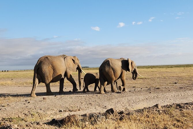 2 Days Amboseli Park Overnight Private Safari - Getting from Nairobi to the park: why the early start helps
