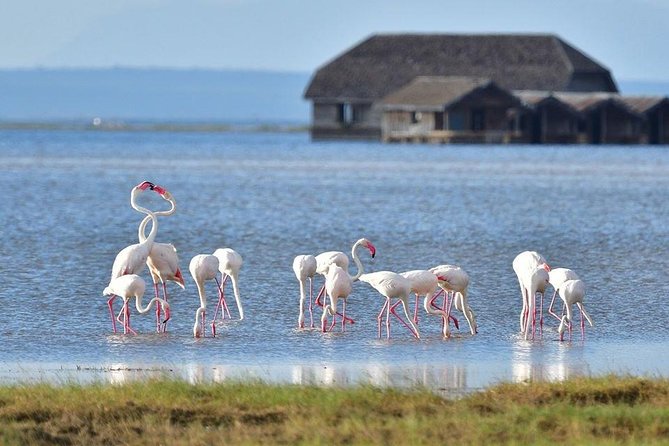 2 Days Amboseli Private Safari - From Nairobi at 6:00 am: The practical start that shapes your sightings