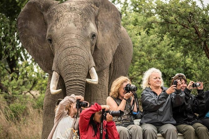 2 Days Amboseli Safari Adventure from Nairobi Classic Game Drives - Game Drives in Amboseli: Morning and Afternoon Isn’t a Random Choice