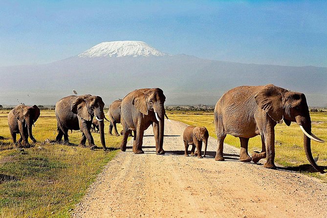 2 days group safari to Amboseli National park (Mon-Wed-Sat only) - Day 1: Nairobi to Amboseli via the Nairobi-Mombasa Road, Then Lunch and Afternoon Game Viewing