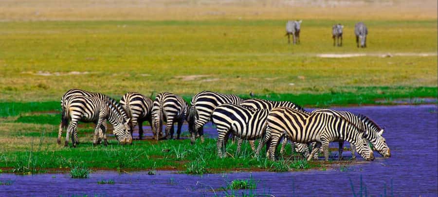 2 Days Group tour to Amboseli Using Landcruiser 4x4 Jeep - Optional Hot Air Balloon: A High-Cost Choice for the Sky View