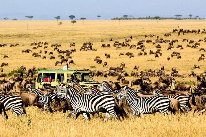 2 Days Masai Mara Private Safari From Nairobi - The One Scheduling Risk You Should Not Ignore
