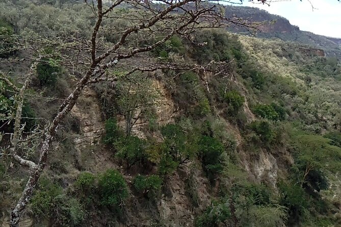 2 Days Private Tour to Lake Nakuru and Hell's Gate Park - Hells Gate National Park, bike time, and animals at a human pace
