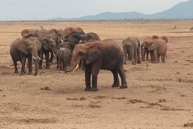 2 Days Safari Tsavo East - Lodging and check-in timing: Voi Safari Lodge and your comfort window