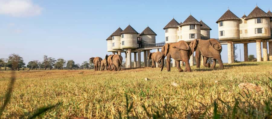 2 days Tsavo East and saltlick safari from Diani/Mombasa - Aruba Dam, the waterhole built in Colonial times