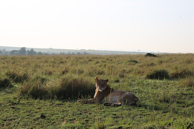 2 Days Tsavo East National Park Tour From Mombasa/Diani (1 Night) - Tsavo East, the fast way to see the big stuff