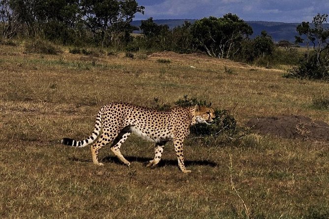 3-DAY Best Maasai Mara Safari (POPULAR) - Great Rift Valley Viewpoints Before the Mara