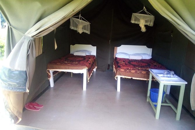 3-DAY Best Maasai Mara Safari (POPULAR) - Day 2 Full Day Maasai Mara Safari and the Mara River Migration Zone