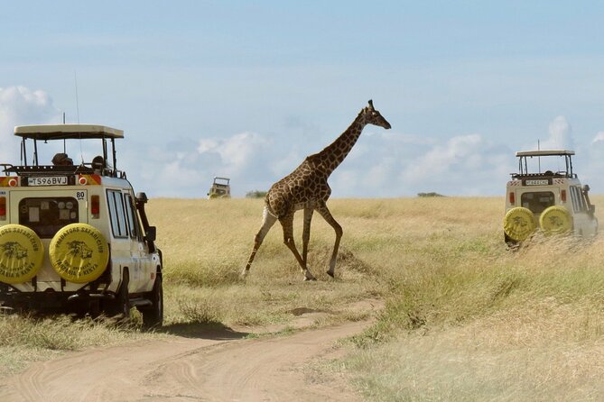 3-Day Budget Maasai Mara Joining Safari with 4x4 LandCruiser Jeep - Key things that matter on this safari