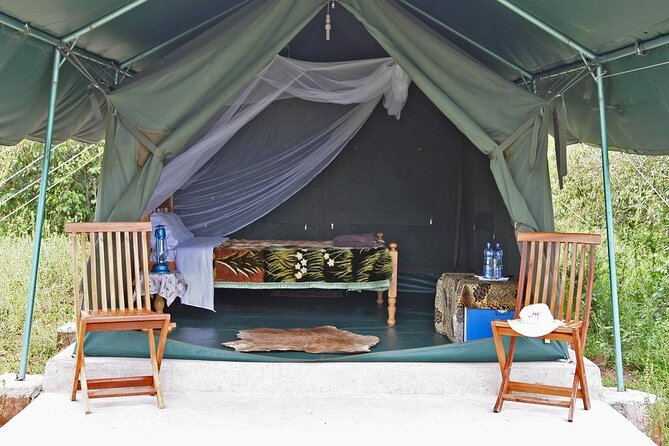3-Day Budget Maasai Mara Joining Safari with 4x4 LandCruiser Jeep - Day 1 in Masai Mara: check-in, then a real game drive
