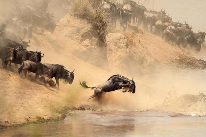 3-Day Budget Maasai Mara Joining Safari with 4x4 LandCruiser Jeep - Transportation details that affect your comfort and photos