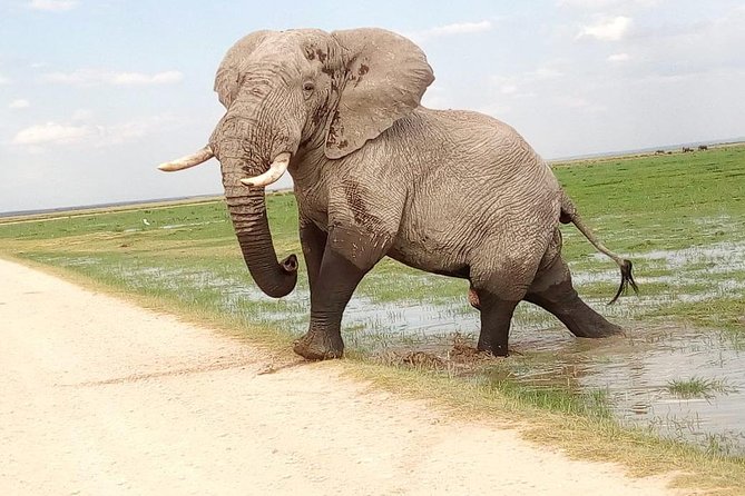 3-day Budget Safari To Maasai Mara - Key Highlights You Should Know