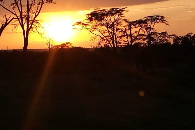 3-day Budget Safari To Maasai Mara - Nairobi to Maasai Mara: What This Budget Safari Really Delivers
