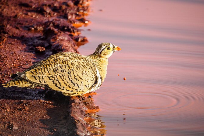 3 day Diani Beach To Tsavo East & West - Price and value, what $2,020 per person is really buying