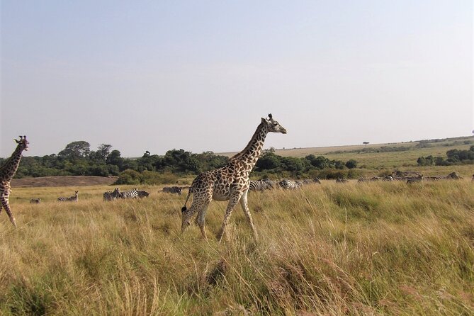 3 Day Exploring Amboseli National Park - Mount Kilimanjaro and Amboseli: why the views matter