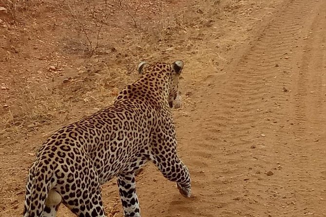 3 day maasai mara budget Camping Group safari - Price and value at about $450 per person