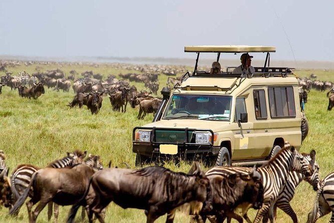 3 Day Maasai Mara Group Joining Camping Safari - Daily Departures - 3 days in Maasai Mara from Nairobi: what this trip really delivers