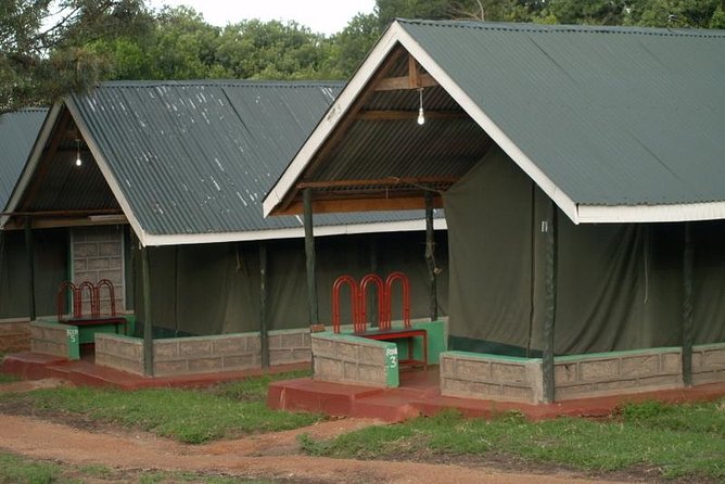 3 Day Maasai Mara Group Joining Camping Safari - Daily Departures - The guide and small-group feel: what makes the days click
