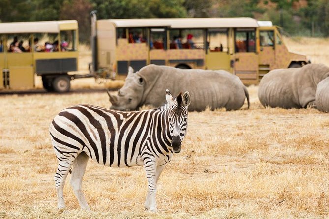3-Day Maasai Mara Guided Safari From Nairobi - Sleeping in Tented Camps: Comfort Expectations and What to Ask