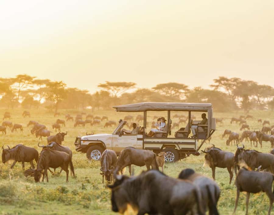 3-Day Maasai Mara Joining Safari at Enkorok Luxury Camp - Key takeaways before you go