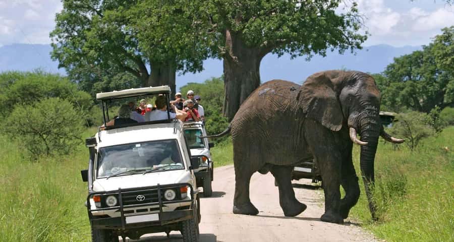 3-Day Maasai Mara Joining Safari at Enkorok Luxury Camp - Transport and how the 4x4 pop-up roof changes your day