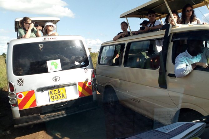 3 Day Maasai Mara & Migration safari - Day 2 in the Heart of the Reserve, Mara River Lunch and Big Cats