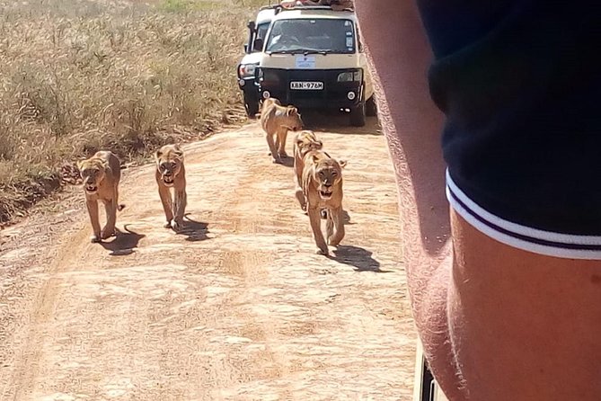 3 Day Maasai Mara & Migration safari - Who This Safari Fits Best (And Who Might Want a Different Style)