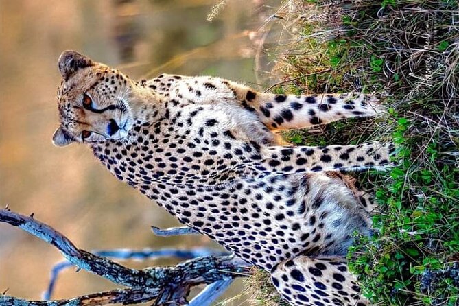 3-Day Masai Mara and Naivasha Hell's Gate National Park-Safari - The Rift Valley viewpoint stop: good for legs, even better for your first orientation