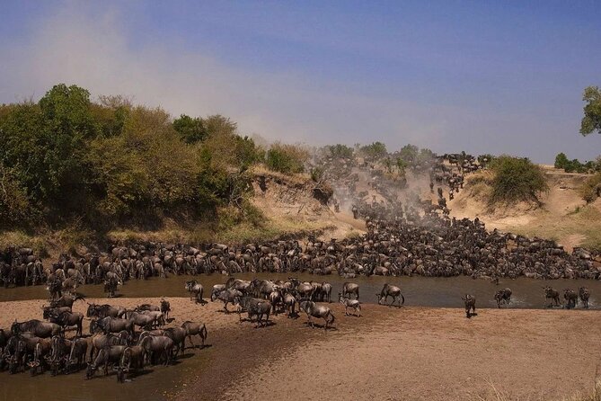 3-Day Masai Mara Group Safari with Pick Up - Maasai Mara in 3 days: what makes this safari tick