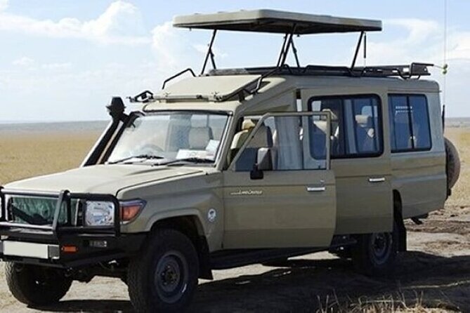 3-Day Masai Mara Safari Tour - Getting From Nairobi to the Wild Without Wasting Your Day