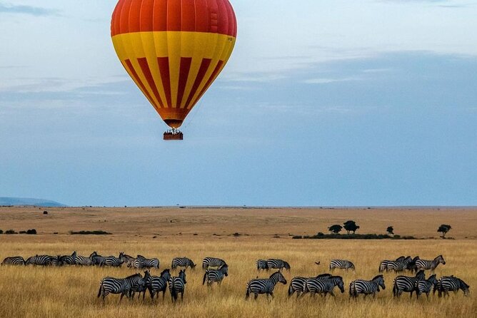 3-Day Masai Mara Safari Tour - Day 2 in the Masai Mara: Your Biggest Wildlife Block