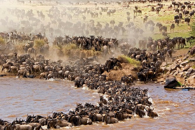 3-day Masai Mara Safari Tour to see the big five and wildebeest migration - Day 1: Rift Valley drive, Narok lunch, and your first Masai Mara game drive