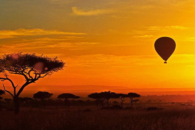 3-day Masai Mara Safari Tour to see the big five and wildebeest migration - Day 2: Mara River full-day game drives and orange-tinged sunsets