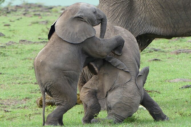 3 Day Private 4x4 Jeep Tour in Masai Mara Safari - Why a Private 4x4 Mara Safari Works So Well