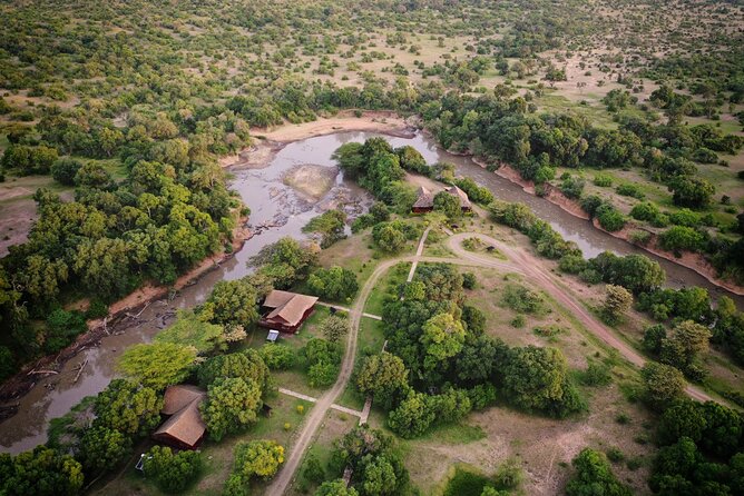 3 Day Private 4x4 Jeep Tour in Masai Mara Safari - Day 3: Early Morning Big Cat Time and the Return to Nairobi