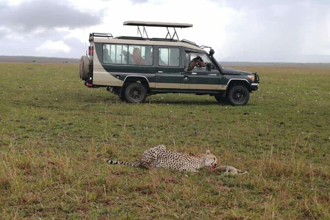 3 Day Private 4x4 Jeep Tour in Masai Mara Safari - Day 1 in Masai Mara: Afternoon Game Drive and First Roar