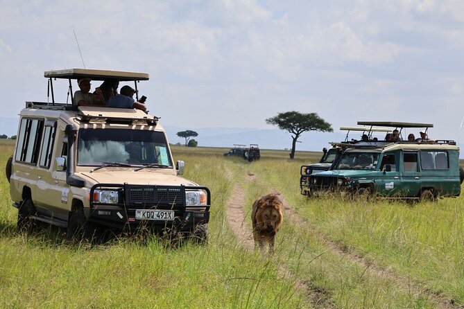 3 Day Private Tour in Maasai Mara with Lodge Luxury with Jeep - Day 3: Maasai Village Visit, Narok Lunch, and Back to Nairobi