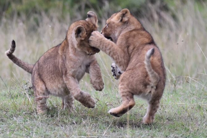 3-Day Private Tour in Tsavo West National Parks - Price and value: what $1,790 per person buys you