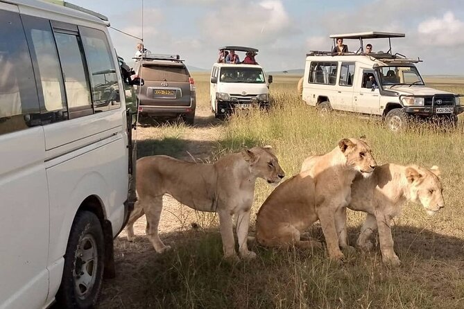 3 Day Private Wild Safari Tour in Maasai Mara - From Nairobi at 7 a.m. to Maasai Mara on a plan