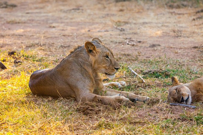 3-Day Samburu safari from Nairobi - Samburu National Reserve on Day 1: your first dusk sightings