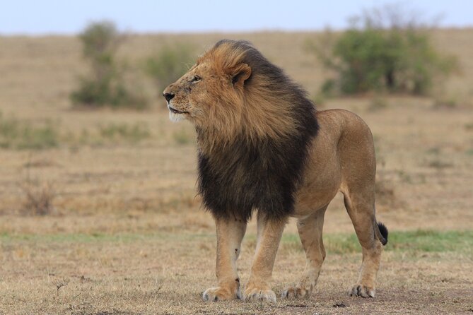 3-Day Sweetwaters: Ol Pejeta Conservancy Safari from Nairobi - Sweetwaters Serena Camp: Tented Luxury with Wildlife Close By