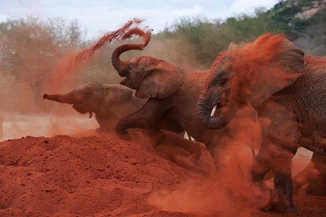 3-Day Tsavo East and Tsavo West Safari - Meeting at 6:00 am and riding in a private 4x4 Land Cruiser