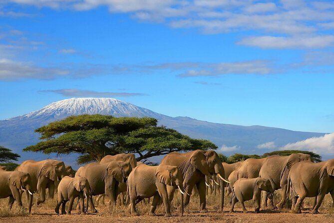 3 Days 2 Nights Amboseli National Park Tour - Key highlights you’ll feel fast