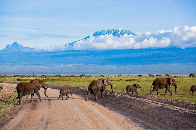 3 Days 2 Nights Amboseli National Park Tour - Day 1: 7:00 am pickup, the drive in, then an evening game drive