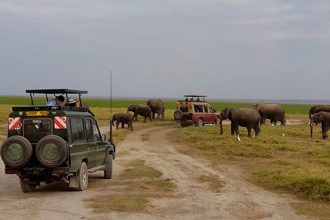 3 Days 2 Nights Amboseli National Park Tour - Day 2: a full Amboseli day with packed lunch