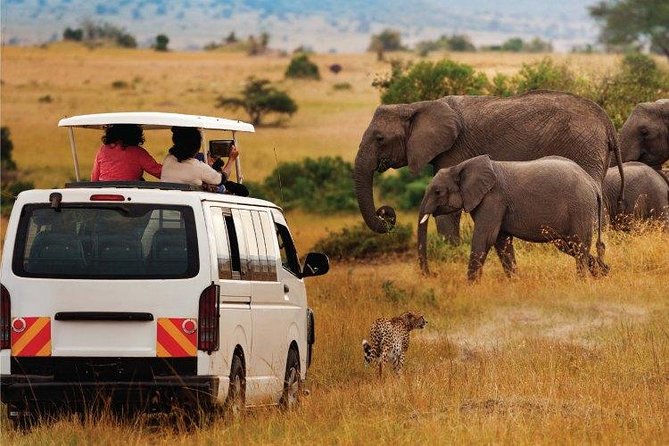 3 Days 2 Nights Amboseli Safari - Mt Kilimanjaro views: how to get the most from clear skies