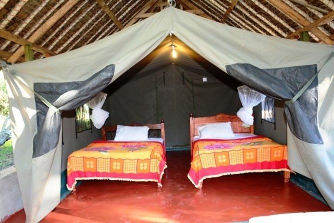 3 days 2 nights budget group safari to Maasai Mara National Reserve - Mara River stop: hippos and crocodiles along the banks