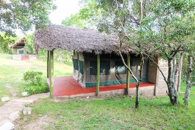 3 days 2 nights budget group safari to Maasai Mara National Reserve - Camp nights: what “budget camping” means in practice