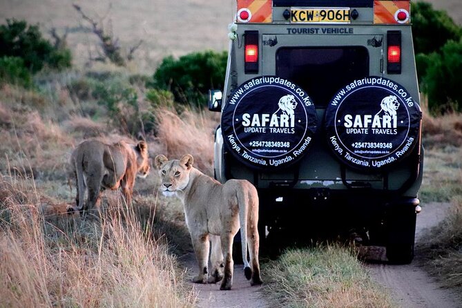 3 Days 2 nights Group joining Midrange Safari Tour in Masai maraa - Key highlights you should care about